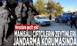 Hırsızlara geçit yok! Manisalı çiftçilerin zeytinleri jandarma korumasında