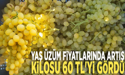 Yaş üzüm fiyatlarında artış: Kilosu 60 TL'yi gördü