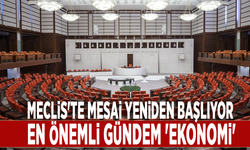 Meclis'te mesai yeniden başlıyor: En önemli gündem 'ekonomi'