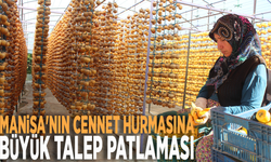 Manisa'nın cennet hurmasına büyük talep patlaması