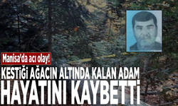 Manisa'da acı olay! Kestiği ağacın altında kalan adam hayatını kaybetti