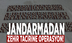 Jandarmadan zehir tacirine operasyon!