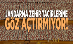 Jandarma zehir tacirlerine göz açtırmıyor!