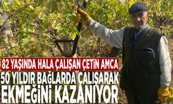 82 yaşında hala çalışan Çetin amca... 50 yıldır bağlarda çalışarak ekmeğini kazanıyor