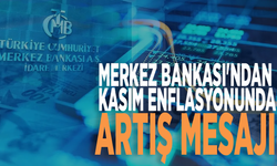 Merkez Bankası'ndan kasım enflasyonunda artış mesajı