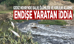 Gediz Nehri'nde balık ölümleri ve kirlilik alarmı! Endişe yaratan iddia