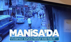 Manisa'da vicdansız sürücü kediyi ezip kaçtı