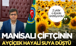 Manisalı çiftçilerin Ayçiçek hayali de suya düştü