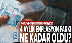 Memur ve emekli zamlarını etkileyecek: 4 aylık enflasyon farkı ne kadar oldu?