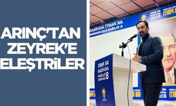 Arınç'tan Zeyrek'e eleştiriler