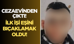 Hapisten çıkar çıkmaz eşini bıçakladı!