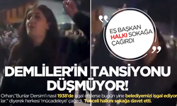 DEM'li eş başkandan Tunceli'de ayaklanma çağrısı!