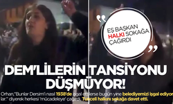 DEM'li eş başkandan Tunceli'de ayaklanma çağrısı!