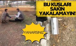 Manisa'da Saka kuşlarıyla yakalandı! Cezayı da yedi!