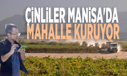 Çinliler Manisa'da mahalle kuruyor