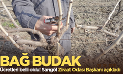 Bağ budak ücretleri açıklandı