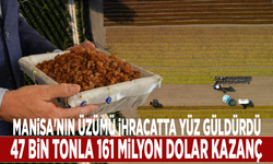 Manisa'nın üzümü ihracatta yüz güldürdü: 47 bin tonla 161 milyon dolar kazanç