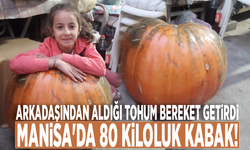 Arkadaşından aldığı tohum bereket getirdi: Manisa'da 80 kiloluk kabak!