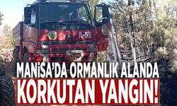 Manisa’da ormanlık alanda korkutan yangın!