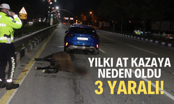 Manisa'da yılkı at kazası! 3 yaralı