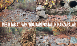 Mesir Tabiat Parkı'nda kartpostallık manzaralar