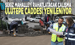 Sekiz mahalleyi rahatlatacak çalışma: Ulutepe Caddesi yenileniyor