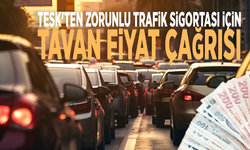 TESK Başkanı Palandöken'den zorunlu trafik sigortası için tavan fiyat çağrısı