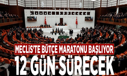 Meclis'te bütçe maratonu başlıyor: 12 gün sürecek