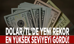 Dolar/TL'de yeni rekor: En yüksek seviyeyi gördü!