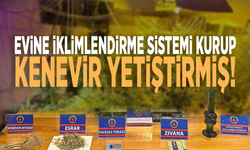 Evine iklimlendirme sistemi kurup kenevir yetiştirmiş!