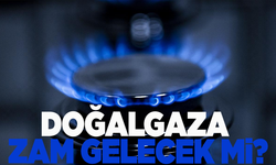 Yeni yılda doğalgaza zam gelecek mi?