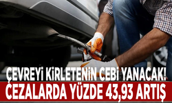 Çevreyi kirletenin cebi yanacak! Cezalarda yüzde 43,93 artış