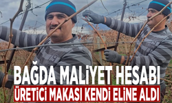 Bağda maliyet hesabı: Üretici makası kendi eline aldı