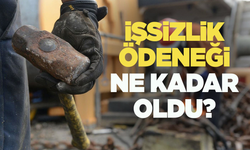 İşsizlik ödeneği ne kadar oldu? İşte detaylar...