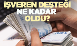 İşveren desteği ne kadar oldu?