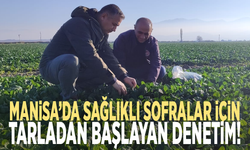 Sağlıklı sofralar için Manisa'da tarladan başlayan denetim!