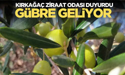 Ziraat Odası zeytin icin faydalı gübre getiriyor