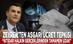 Zeyrek'ten asgari ücret tepkisi: “İktidar halkın gerçeklerinden tamamen uzak"