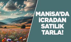 Manisa'da satılık tarla!