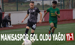 Manisaspor gol oldu yağdı 11-1