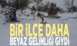 Bir ilçe daha beyaz gelinliği giydi