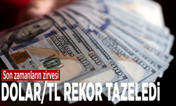 Son zamanların zirvesi: Dolar/TL rekor tazeledi!