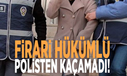 Firari hükümlü polisten kaçamadı!