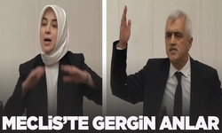 Meclis'te AK Partili Özlem Zengin ve DEM'li Gergerlioğlu damga vurdu