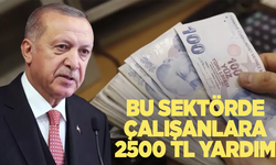 Cumhurbaşkanı Erdoğan müjdeyi verdi