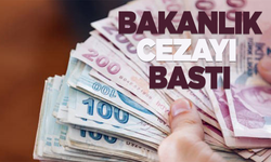 Ticaret Bakanlığı fahiş fiyat uygulayan işletmelere ceza kesti