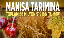 Manisa tarımına 66 milyon 919 bin TL hibe destek verildi