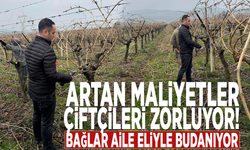 Artan maliyetler çiftçileri zorluyor: Bağlar aile eliyle budanıyor