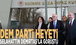 DEM Parti heyeti Selahattin Demirtaş'la görüştü