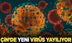 Çin'de yeni virüs yayılmaya başladı!